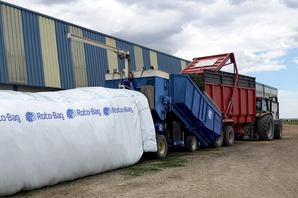 Logistica New Food